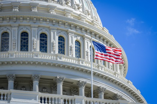 A photo of the US Capitol