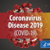 Corona Virus